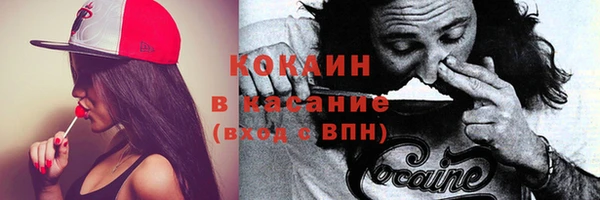 индика Аркадак