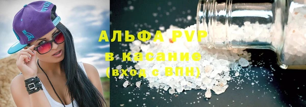 индика Аркадак