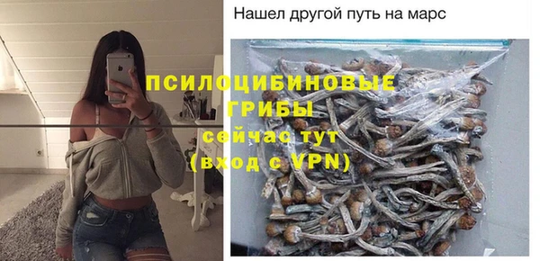 ешки Армянск