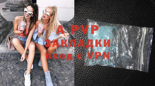 индика Аркадак
