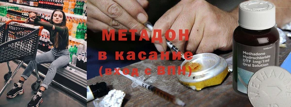 индика Аркадак