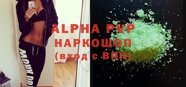 индика Аркадак