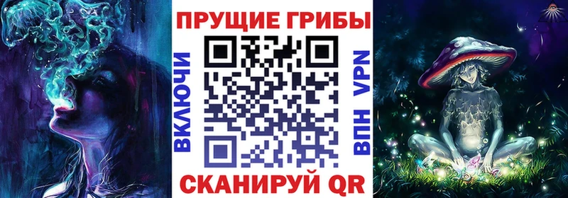 сайты даркнета телеграм  Бабаево  Галлюциногенные грибы Psilocybe 